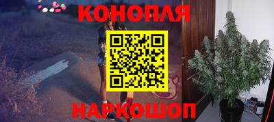 стафф Краснодар