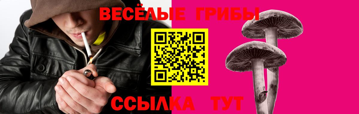 где купить наркотик  Псилоцибиновые грибы мухоморы  Вход с VPN  Балашов 